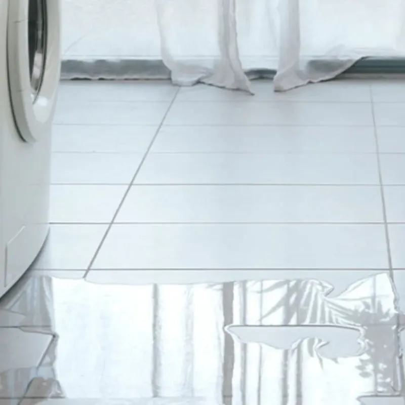 Appliance Leak Cleanup in Logan County, IL
