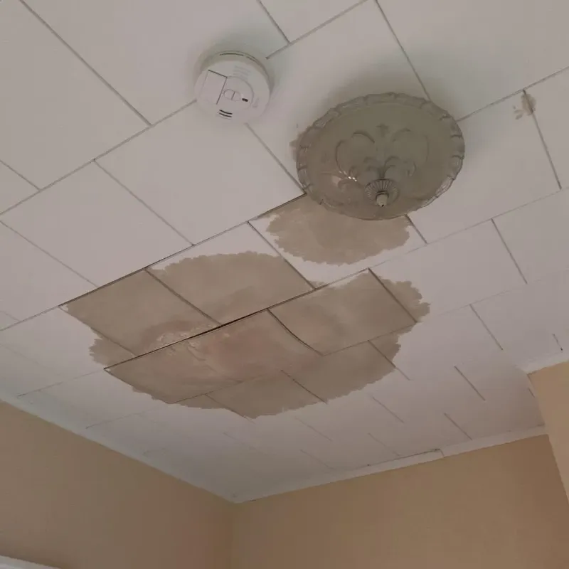 Ceiling Water Damage Repair in Logan County, IL