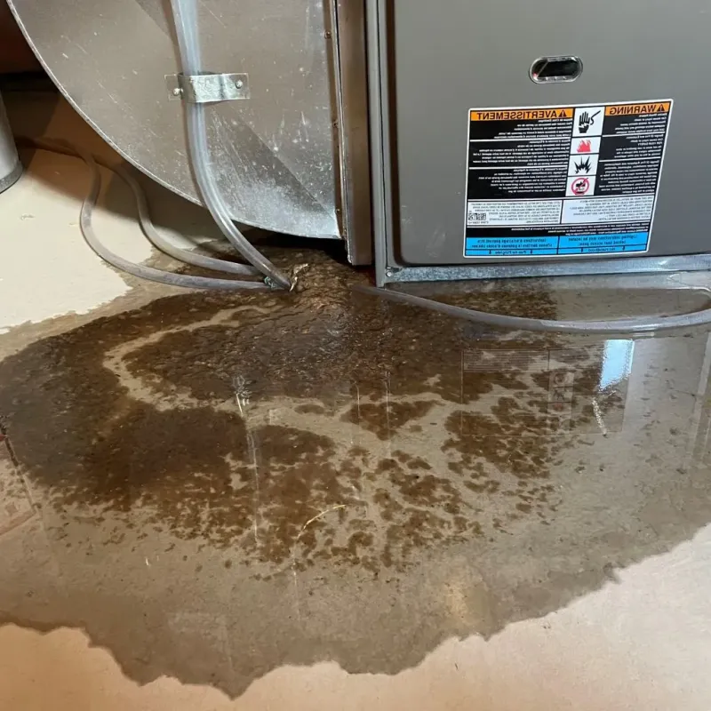 Pipe Burst and Leak Restoration in Logan County, IL