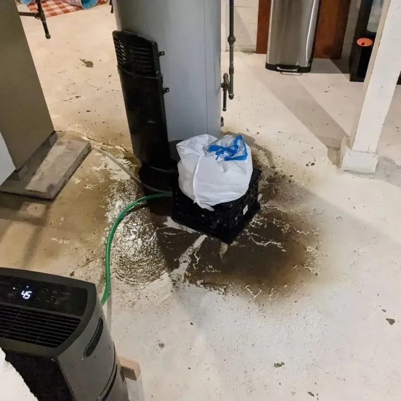 Sewage Backup Cleanup Service in Logan County, IL